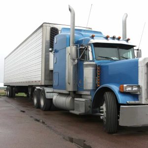 A blue semi-truck with a large trailer is parked on a wet road surface under an overcast sky.