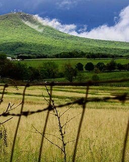 A grassy field with a barbed wire fence in the foreground, green hills and trees in the middle ground, and a cloudy sky above.